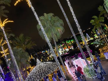 美らヤシパークオキナワ・東南植物楽園に投稿された画像（2021/12/20）