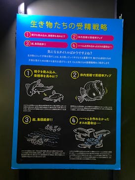 サンシャイン水族館に投稿された画像（2021/12/20）