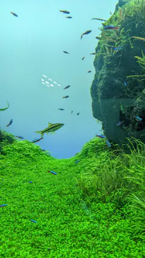 すみだ水族館に投稿された画像（2021/12/21）