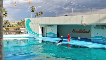 南知多ビーチランド＆南知多おもちゃ王国に投稿された画像（2021/12/21）