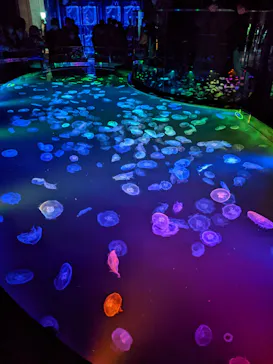 すみだ水族館に投稿された画像（2021/12/21）