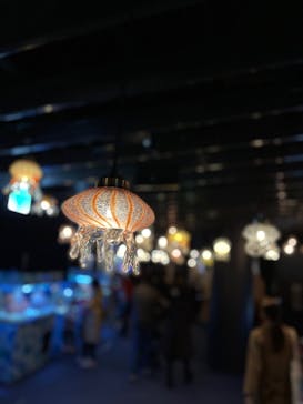 京都鉄道博物館×京都水族館に投稿された画像（2021/12/21）