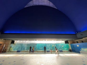 株式会社Gに投稿された画像（2021/12/21）