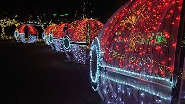 美らヤシパークオキナワ・東南植物楽園に投稿された画像（2021/12/21）