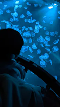 すみだ水族館に投稿された画像（2021/12/21）