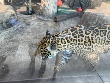 天王寺動物園に投稿された画像（2021/12/21）