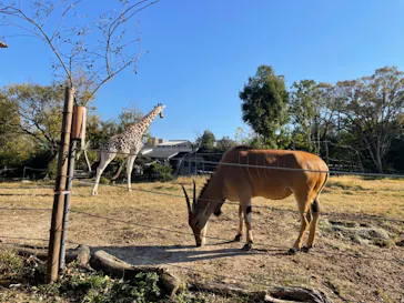 天王寺動物園に投稿された画像（2021/12/21）