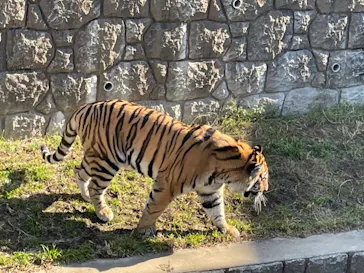 天王寺動物園に投稿された画像（2021/12/21）