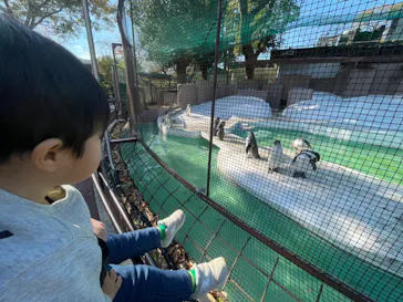 天王寺動物園に投稿された画像（2021/12/21）
