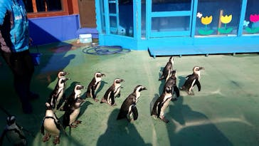 ゼロ距離水族館 伊勢シーパラダイスに投稿された画像（2021/12/21）