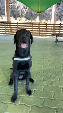 わんダフルネイチャーヴィレッジに投稿された画像（2021/12/21）