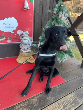 わんダフルネイチャーヴィレッジに投稿された画像（2021/12/21）