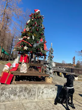 わんダフルネイチャーヴィレッジに投稿された画像（2021/12/21）