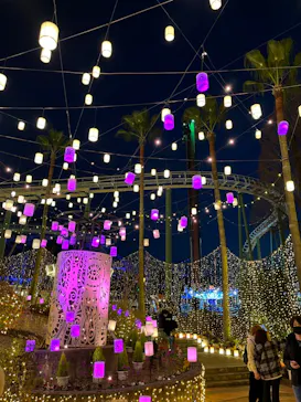 ひらかたパークに投稿された画像（2021/12/21）