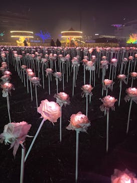 東京メガイルミに投稿された画像（2021/12/21）