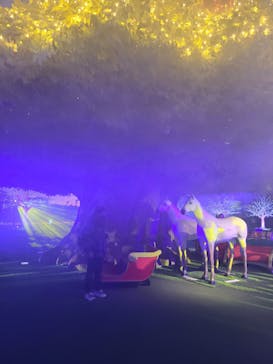 東京メガイルミに投稿された画像（2021/12/21）