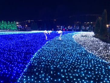 東武動物公園に投稿された画像（2021/12/21）