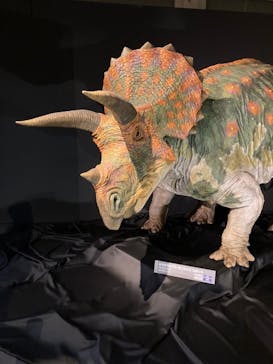 ティラノサウルス展 ～Ｔ. rex 驚異の肉食恐竜～（名古屋市科学館）に投稿された画像（2021/12/21）