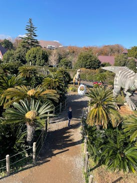 伊豆ぐらんぱる公園に投稿された画像（2021/12/21）