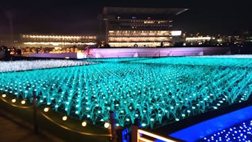 東京メガイルミに投稿された画像（2021/12/21）