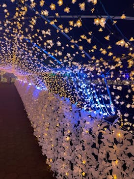 東京メガイルミに投稿された画像（2021/12/21）