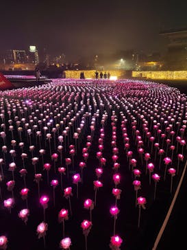 東京メガイルミに投稿された画像（2021/12/21）