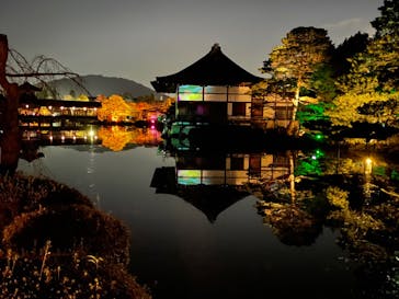 NAKED ヨルモウデ 平安神宮に投稿された画像（2021/12/21）