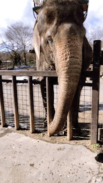 那須サファリパークに投稿された画像（2021/12/21）