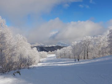 野沢温泉スキー場に投稿された画像（2021/12/21）