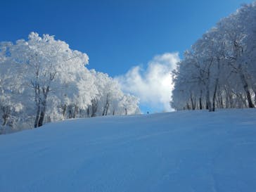 野沢温泉スキー場に投稿された画像（2021/12/21）