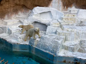 天王寺動物園に投稿された画像（2021/12/21）