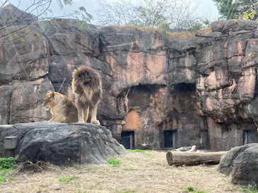天王寺動物園に投稿された画像（2021/12/21）