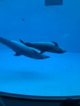 名古屋港水族館に投稿された画像（2021/12/21）