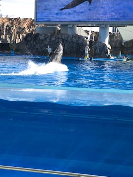 名古屋港水族館に投稿された画像（2021/12/21）