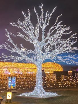 東京メガイルミに投稿された画像（2021/12/21）