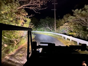 奄美ナイトツアーサービスに投稿された画像（2021/12/21）