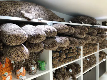 京都水族館に投稿された画像（2021/12/21）