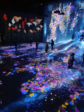 森ビル デジタルアート ミュージアム：エプソン チームラボボーダレスに投稿された画像（2021/12/21）