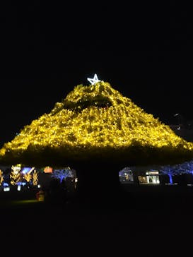 東京メガイルミに投稿された画像（2021/12/21）