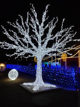 東京メガイルミに投稿された画像（2021/12/21）