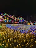 伊豆ぐらんぱる公園に投稿された画像（2021/12/22）
