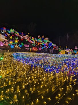 伊豆ぐらんぱる公園に投稿された画像（2021/12/21）