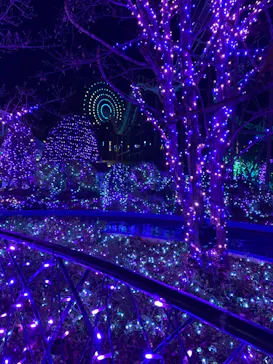 ひらかたパークに投稿された画像（2021/12/22）