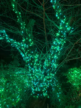 ひらかたパークに投稿された画像（2021/12/22）