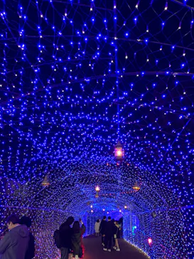 ひらかたパークに投稿された画像（2021/12/22）