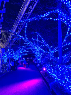 ひらかたパークに投稿された画像（2021/12/22）