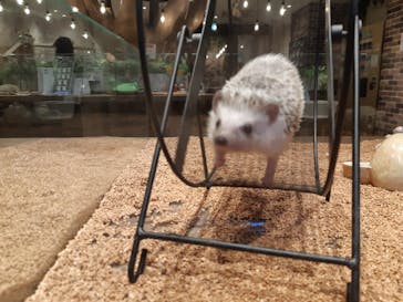 HARRY　横浜中華街店に投稿された画像（2021/12/22）