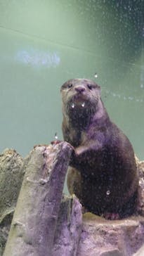 マクセル アクアパーク品川に投稿された画像（2021/12/22）