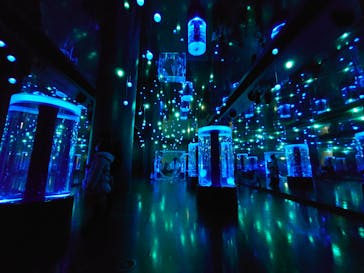 マクセル アクアパーク品川に投稿された画像（2021/12/22）