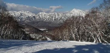 戸隠スキー場に投稿された画像（2021/12/22）